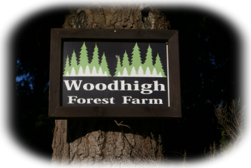 Woodhigh Forest Farm Holiday accomodation & adventure Rotarian managememt